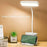 Chargeable LED Desk Lamp with Pen Holder