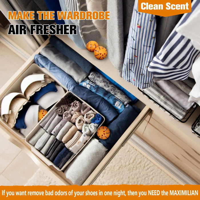 Shoe Ball Deodorizer